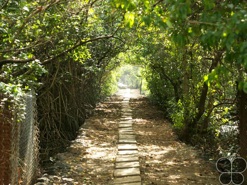 Salim Ali Bird Sanctuary