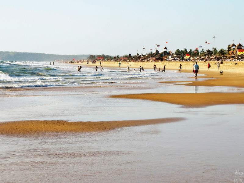 Candolim Beach